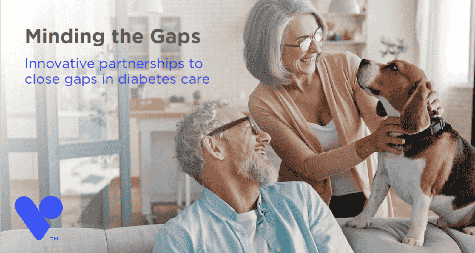 Image of the VSP white paper research Minding the Gaps